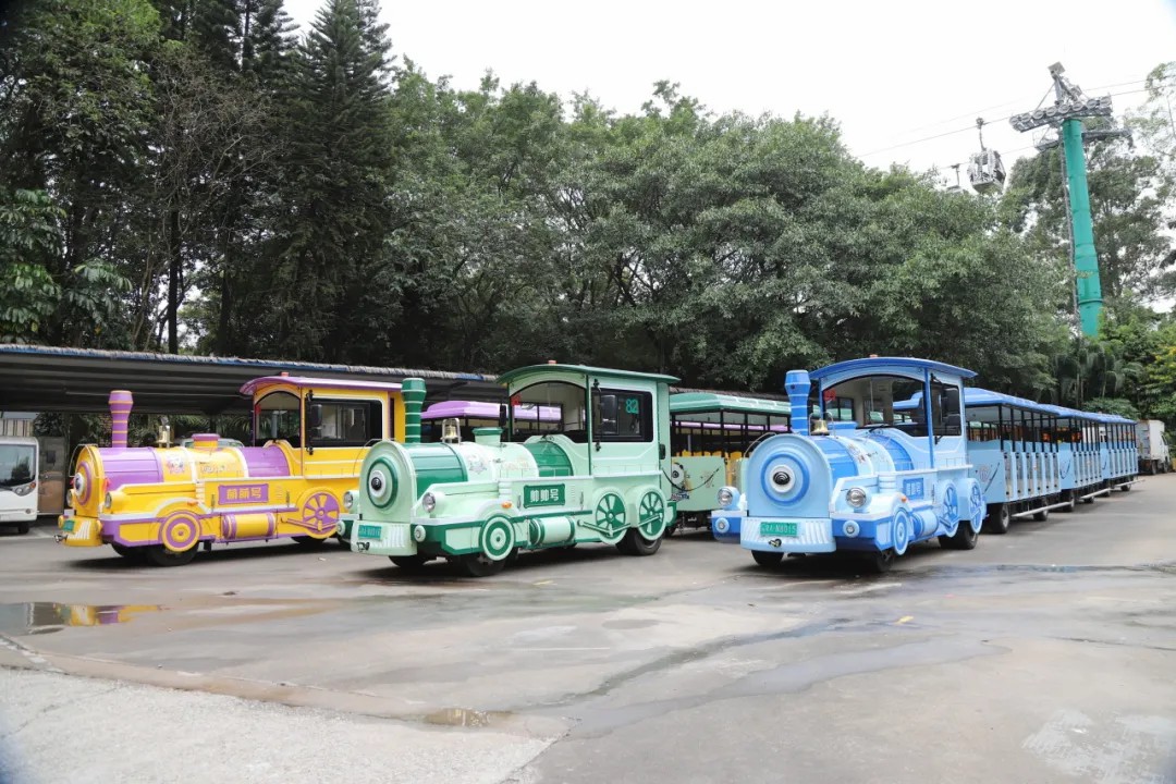 4万公里 ，100%出勤率！乐天堂官网观光车助力长隆打造沉浸式生态之旅