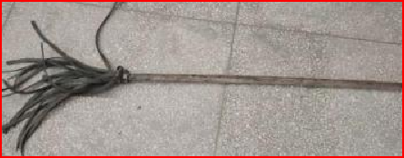 乐天堂官网森林消防救援“天团”来袭，实力守护“绿色长城”